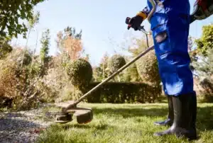 landscaping services in Victoria